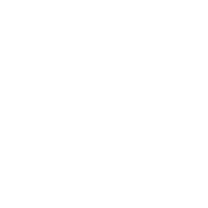 PortalNPL logo cuadrado blanco